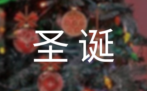 圣诞节作文300字（锦集6篇）
