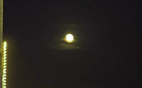 每日一句晚安心语语录锦集63条