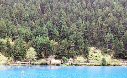 九寨沟游记作文范例[15篇]