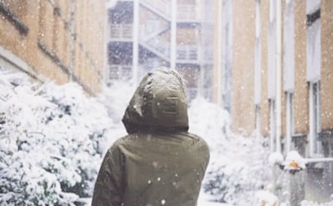 【精品】下雪了小学作文4篇