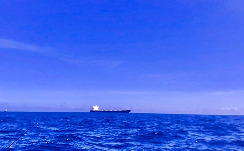 写大海的作文(优秀6篇)