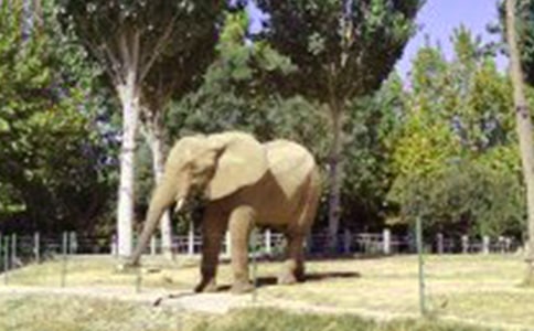 大象童话作文【实用6篇】