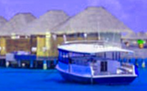 假期生活的作文大全(7篇)