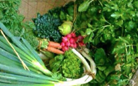 中班健康充足的睡眠教案（精选5篇）