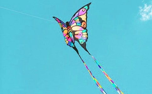 [优秀]春天放风筝作文