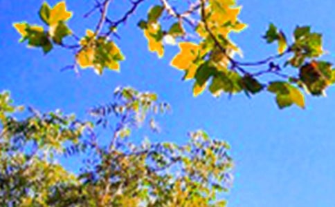 【精华】2026年适合早上发的早安QQ问候语合集40句