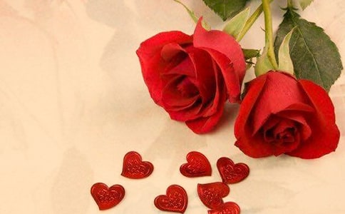 玫瑰作文300字5篇(精选)