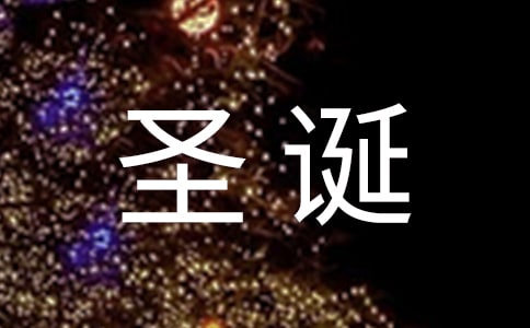 【精】圣诞节作文300字6篇