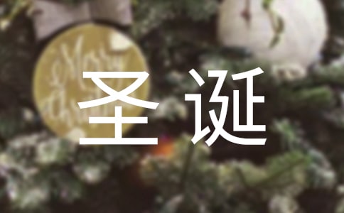快乐的圣诞节作文300字【汇总7篇】