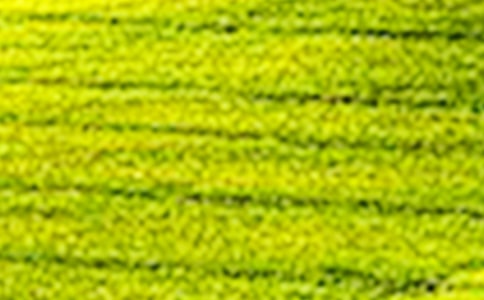 田野作文8篇[集合]