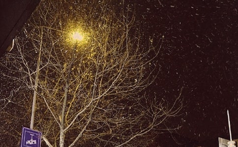 冬天的早晨作文(10篇)