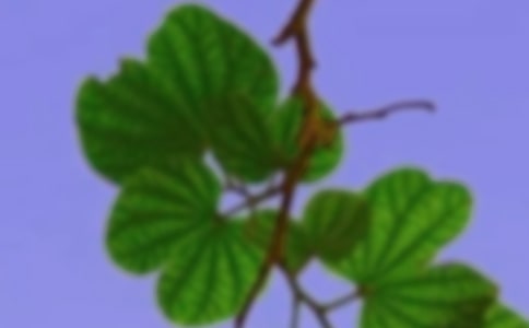 和谐的家园作文4篇（优）