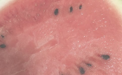 夏日的早晨作文600字（精选16篇）