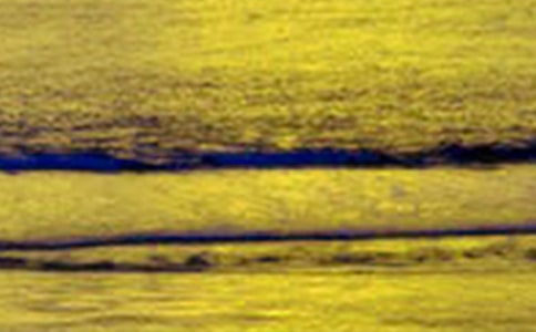 三年级美景作文300字四篇