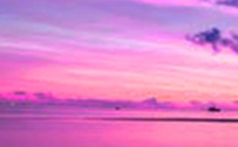 西湖的美景的作文300字五篇