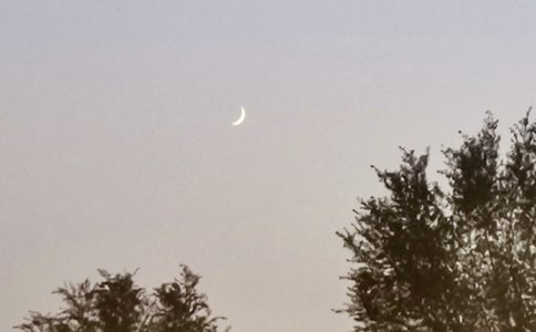 (集合)月亮作文300字