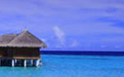 美景作文500字六篇