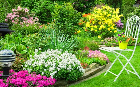 【精选】花园写景的作文合集8篇