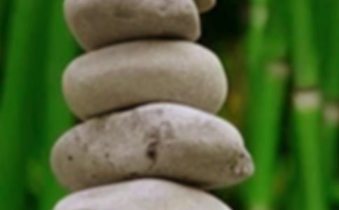 【合集】和谐的家园作文