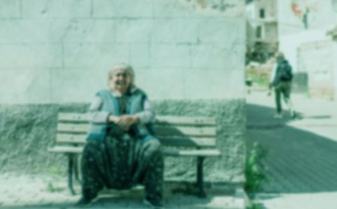 我的奶奶作文大全【15篇】