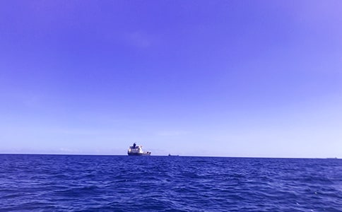 写大海的作文集合[4篇]