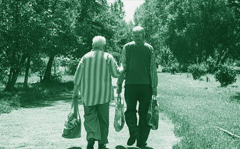 (精选)奶奶我想对你说作文