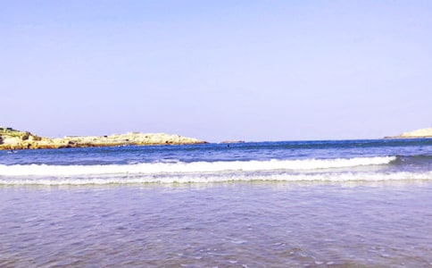 【集合】大海作文