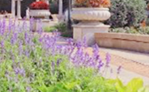 【经典】公园游记作文4篇