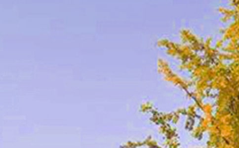 【实用】每日一句早安问候语语录38句