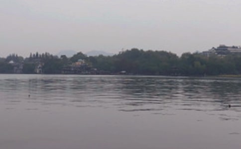 关于西湖的作文300字3篇