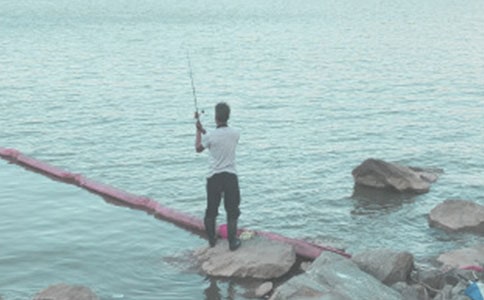 钓鱼的经历作文【精选3篇】