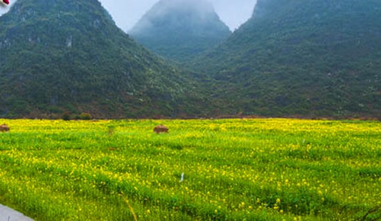 记一次春游作文(11篇)