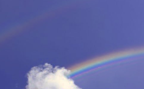 快乐彩虹的作文