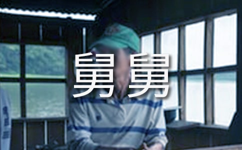 给舅舅的一封信(精选15篇)