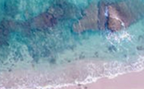 西湖美景作文300字10篇