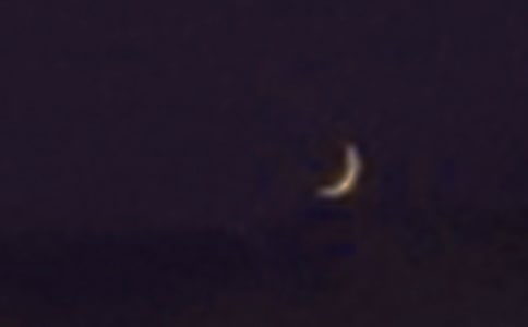 月亮的作文300字大全[7篇]