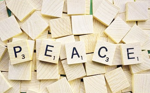 实用的和平作文300字合集（7篇）