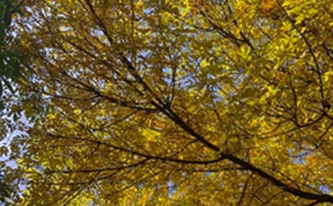 推荐朋友圈早安心语汇总（通用165句）