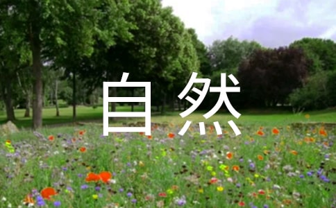大自然作文600字(通用)