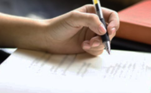 关于我家的小鸡作文300字汇总七篇