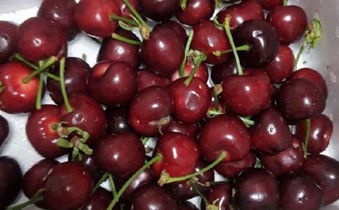 （热门）樱桃花作文3篇