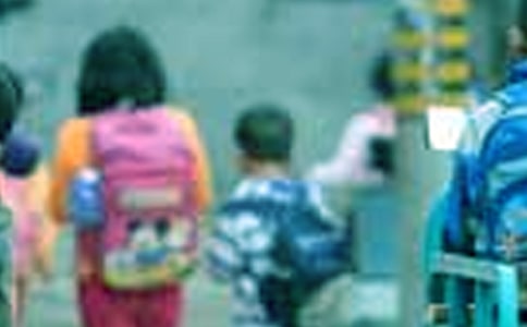 【推荐】小学生观察日记模板6篇