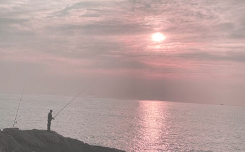 钓鱼的经历作文6篇（优秀）