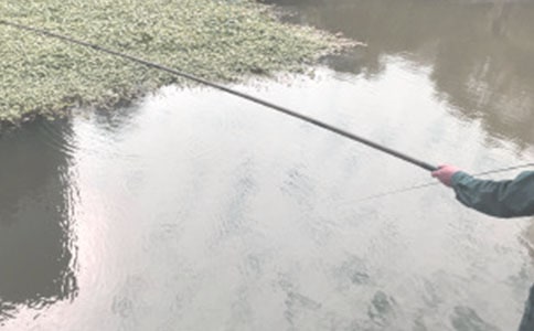 爸爸带我去钓鱼作文3篇