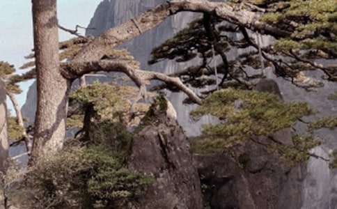 黄山的作文范例6篇