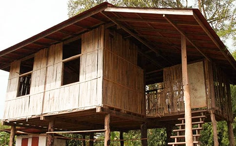 关于《未来的房子》作文500字8篇