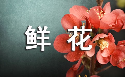 奶奶,给你鲜花作文