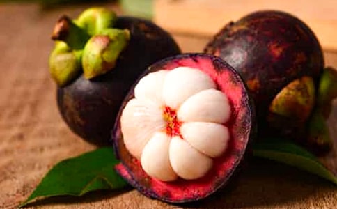 山竹作文300字4篇