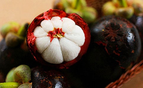 山竹作文300字3篇