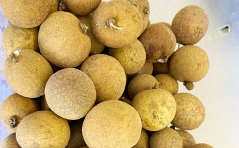 家乡的龙眼作文400字